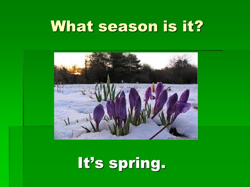 What season is it? It’s spring.